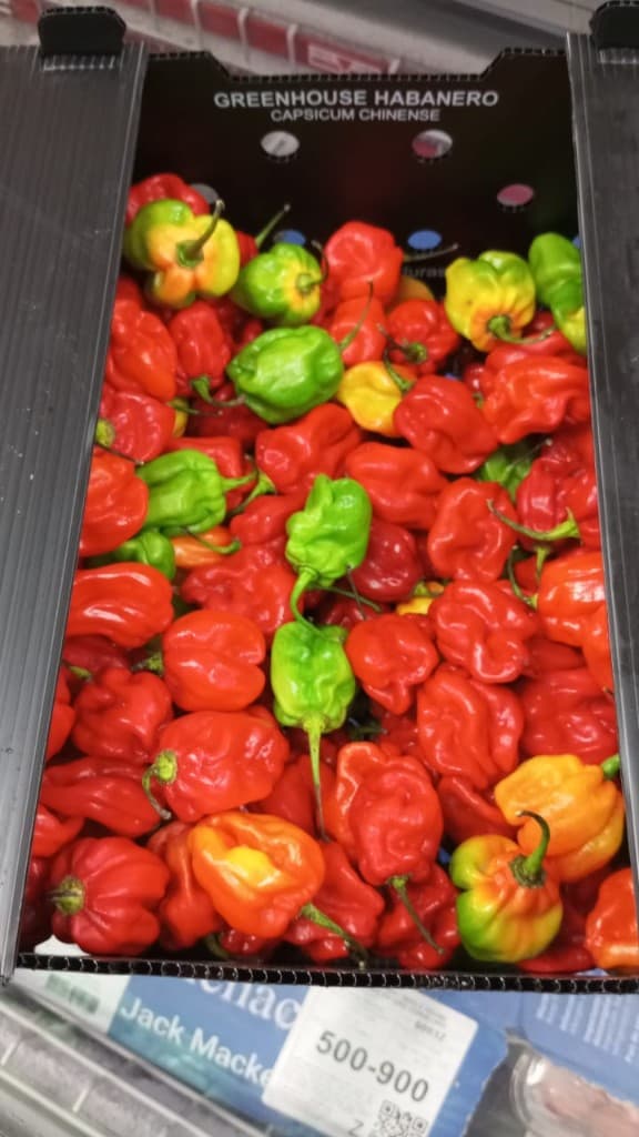 Herivio 全球目录中的杂货